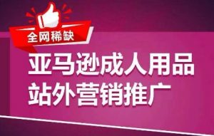 全网稀缺!亚马逊成人用品站外营销推广,教你引爆站外流量,开启爆单模式-风淘社