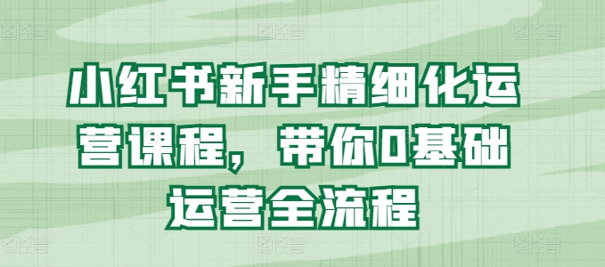 小红书新手精细化运营课程,带你0基础运营全流程-风淘社