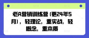 老A营销训练营(更24年6月),轻理论,重实战,轻概念,重本质-风淘社
