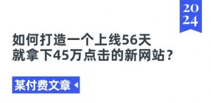 某付费文章《如何打造一个上线56天就拿下45万点击的新网站?》-风淘社