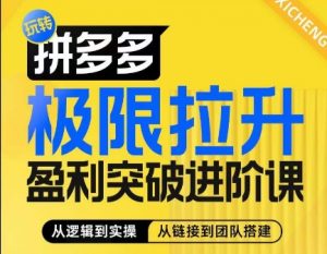 拼多多极限拉升盈利突破进阶课,从算法到玩法,从玩法到团队搭建,体系化系统性帮助商家实现利润提升-风淘社