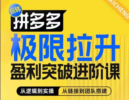 拼多多极限拉升盈利突破进阶课,从算法到玩法,从玩法到团队搭建,体系化系统性帮助商家实现利润提升-风淘社