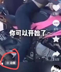 2024年7月苹果手机动图搬运技术-风淘社
