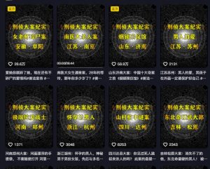 大案纪实解说课，2024年最新抖音大案教学教程-风淘社