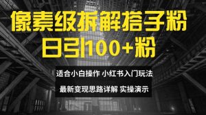 像素级拆解搭子粉，日引100+，小白看完可上手，最新变现思路详解【揭秘】-风淘社