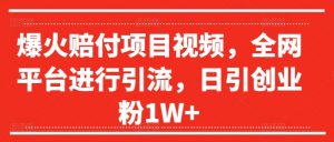爆火赔付项目视频,全网平台进行引流,日引创业粉1W+【揭秘】-风淘社