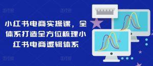 小红书电商实操课,全体系打造全方位梳理小红书电商逻辑体系-风淘社