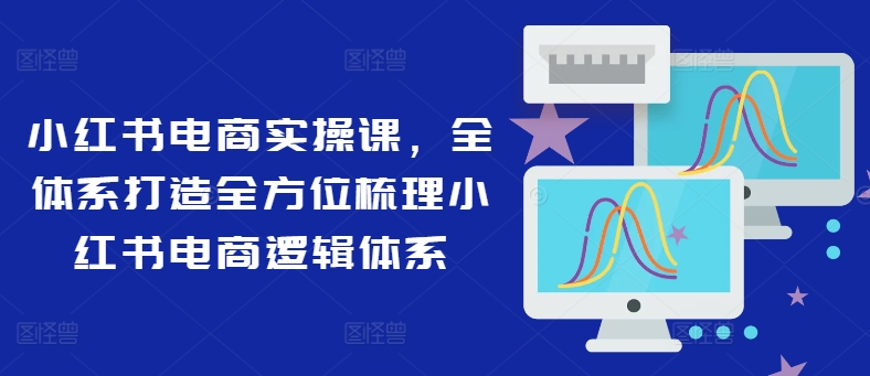 小红书电商实操课,全体系打造全方位梳理小红书电商逻辑体系-风淘社