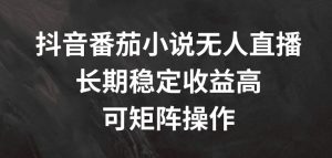 抖音番茄小说无人直播，长期稳定收益高，可矩阵操作【揭秘】-风淘社