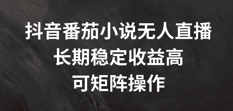 抖音番茄小说无人直播,长期稳定收益高,可矩阵操作【揭秘】-风淘社