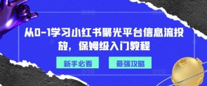 从0-1学习小红书聚光平台信息流投放,保姆级入门教程-风淘社