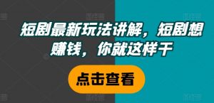 短剧最新玩法讲解,短剧想赚钱,你就这样干-风淘社