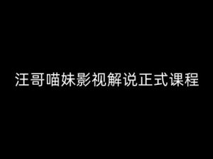 汪哥影视解说正式课程:剪映/PR教学/视解说剪辑5大黄金法则/全流程剪辑7把利器等等-风淘社
