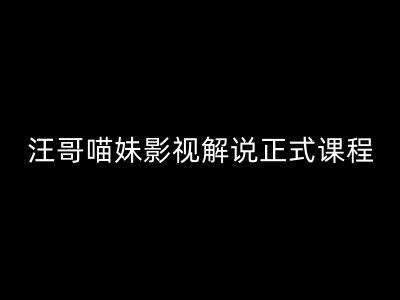 汪哥影视解说正式课程:剪映/PR教学/视解说剪辑5大黄金法则/全流程剪辑7把利器等等-风淘社