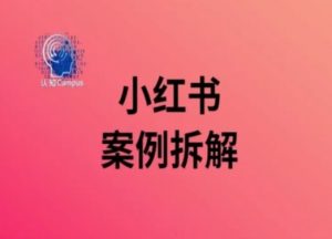 小红书案例拆解，深度解读小红书40万粉-风淘社
