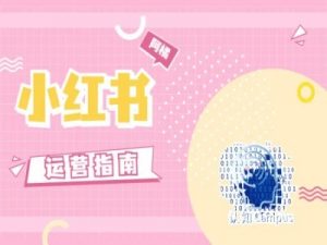 小红书运营指南,没有套路,全是经验-风淘社