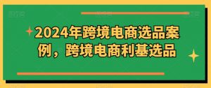 2024年跨境电商选品案例,跨境电商利基选品(更新)-风淘社