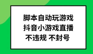 脚本自动玩游戏,抖音小游戏直播,不违规不封号可批量做【揭秘】-风淘社