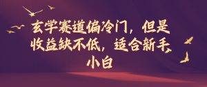 玄学赛道偏冷门,但是收益缺不低,适合新手小白【揭秘】-风淘社