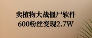 卖植物大战僵尸软件，600粉丝变现2.7W【揭秘】-风淘社