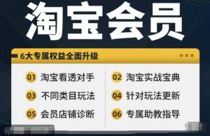 淘宝会员【淘宝所有课程,全面分析对手】,初级到高手全系实战宝典-风淘社