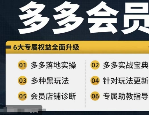 拼多多会员，拼多多实战宝典+实战落地实操，从新手到高阶内容全面覆盖-风淘社