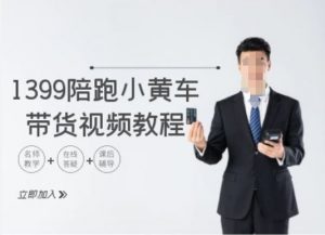 1399陪跑tiktok小黄车带货视频教程,tiktok跨境电商教程-风淘社