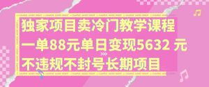 独家项目卖冷门教学课程一单88元单日变现5632元违规不封号长期项目【揭秘】-风淘社