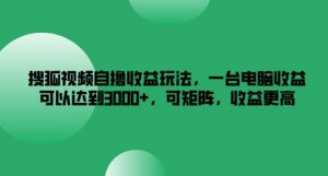 搜狐视频自撸收益玩法,一台电脑收益可以达到3k+,可矩阵,收益更高【揭秘】-风淘社