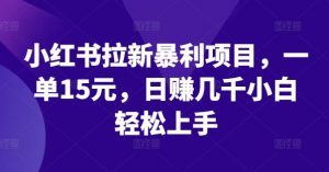 小红书拉新暴利项目,一单15元,日赚几千小白轻松上手【揭秘】-风淘社