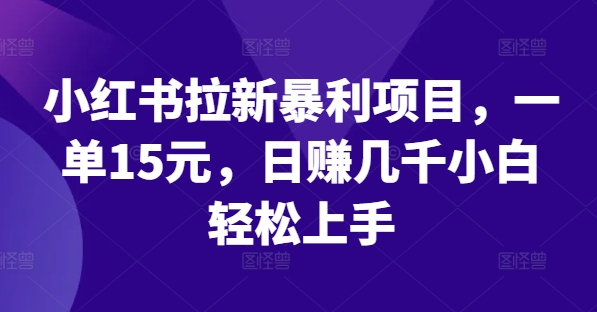 小红书拉新暴利项目,一单15元,日赚几千小白轻松上手【揭秘】-风淘社