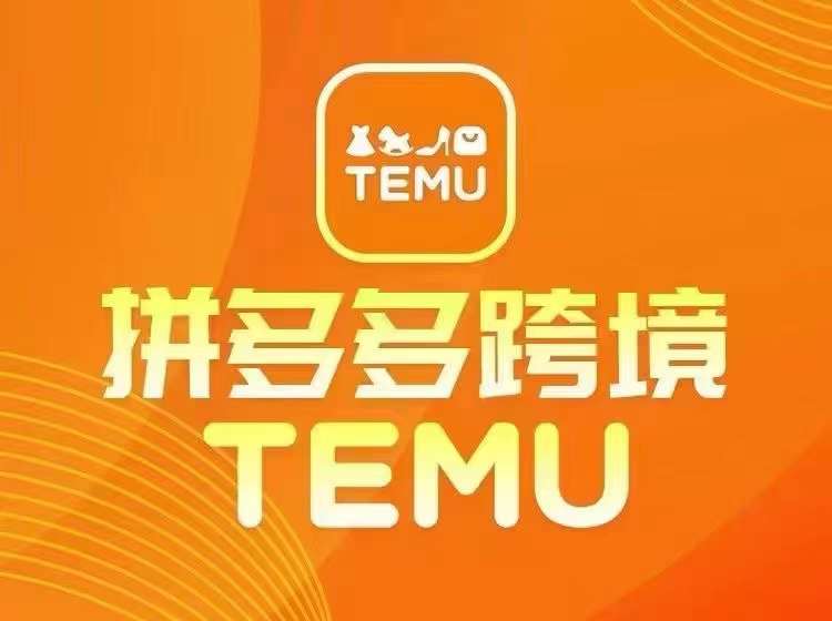 最新TEMU拼多多跨境教程,开店、运营、选品-风淘社