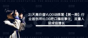 21天高价值VLOG训练营【第一期】行业首创用VLOG把口播故事化,流量人设成倍增长-风淘社