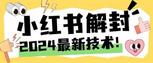 2024最新小红书账号封禁解封方法，无限释放手机号【揭秘】-风淘社