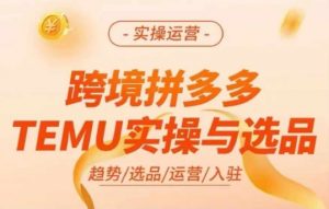 跨境拼多多TEMU实操与选品,多多temu跨境选品运营实操-风淘社