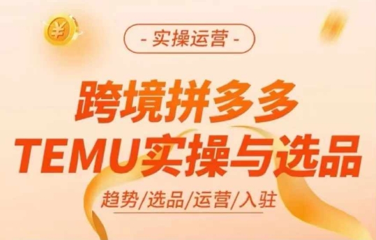 跨境拼多多TEMU实操与选品,多多temu跨境选品运营实操-风淘社