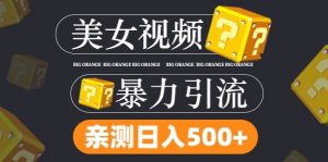 搬运tk美女视频全网分发,日引s粉300+,轻松变现,不限流量不封号【揭秘】-风淘社