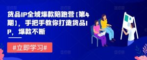 货品IP全域爆款陪跑营【第4期】,手把手教你打造货品IP,爆款不断-风淘社