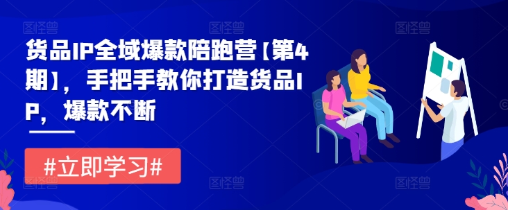 货品IP全域爆款陪跑营【第4期】,手把手教你打造货品IP,爆款不断-风淘社