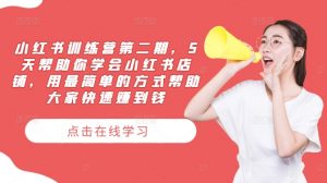 小红书训练营第二期，5天帮助你学会小红书店铺，用最简单的方式帮助大家快速赚到钱-风淘社