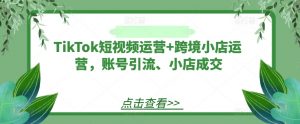 TikTok短视频运营+跨境小店运营，账号引流、小店成交-风淘社