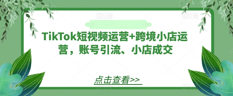 TikTok短视频运营+跨境小店运营，账号引流、小店成交-风淘社