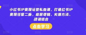 小红书IP变现运营私教课,打通红书IP变现任督二脉,底层逻辑、实操方法、战训结合-风淘社