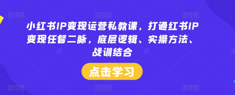 小红书IP变现运营私教课,打通红书IP变现任督二脉,底层逻辑、实操方法、战训结合-风淘社