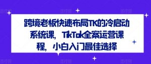 跨境老板快速布局TK的冷启动系统课,TikTok全案运营课程,小白入门最佳选择-风淘社