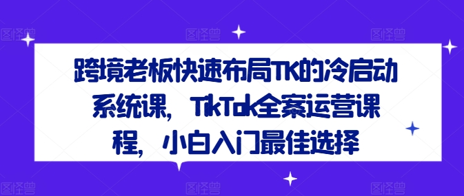 跨境老板快速布局TK的冷启动系统课,TikTok全案运营课程,小白入门最佳选择-风淘社