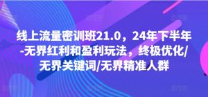 线上流量密训班21.0,24年下半年-无界红利和盈利玩法,终极优化/无界关键词/无界精准人群-风淘社
