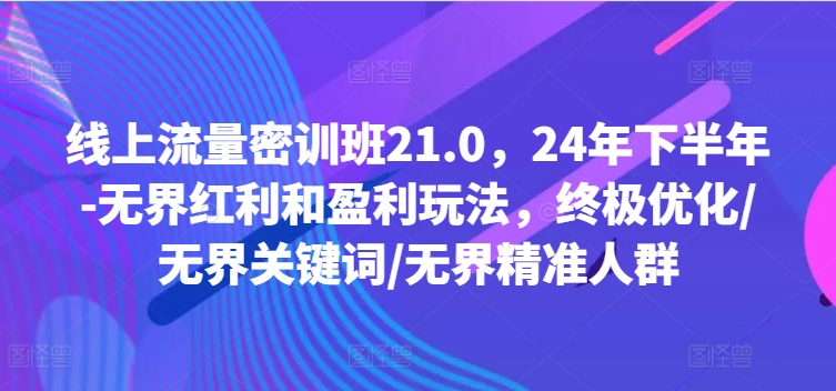 线上流量密训班21.0,24年下半年-无界红利和盈利玩法,终极优化/无界关键词/无界精准人群-风淘社