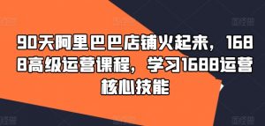 90天阿里巴巴店铺火起来,1688高级运营课程,学习1688运营核心技能-风淘社