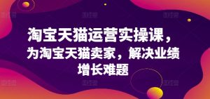 淘宝天猫运营实操课,为淘宝天猫卖家,解决业绩增长难题-风淘社